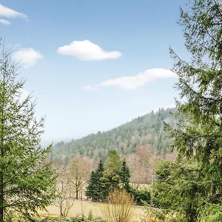 Krelax Black Forest - 3 Bedrooms - 6 Guests - Terrace - Parking - Smart Tv - Near Thermal Baths - Nature Διαμέρισμα